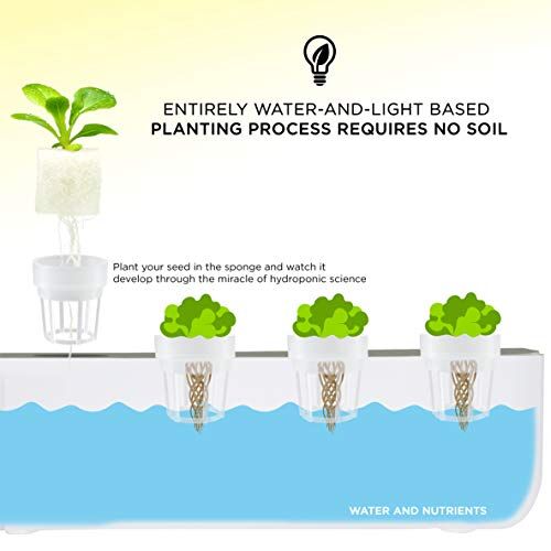 Check Out eco-friendly gardening https://articleblogging.com/wp-content/uploads/2023/08/hydroponics-hydroponic-gardening-indoor-gardening-Ivation-Indoor-Hydroponics-Growing-System-Kit-sustainable-gardening-eco-friendly-gardening-urban-farming-food-security-Hydroponics-fecd01d2.jpg